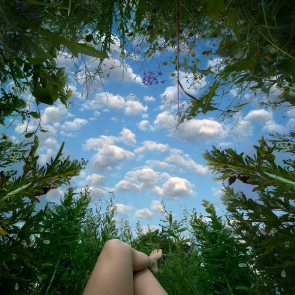 Лежа в траве глядя в небо