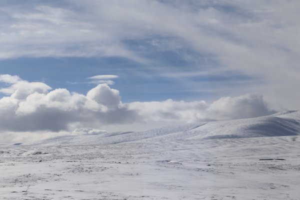 Снежное поле ночью