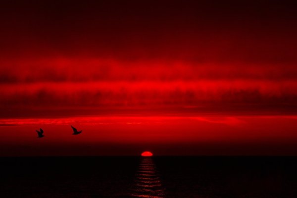 Кровавый закат