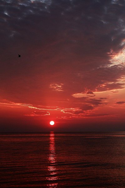 Кровавый закат