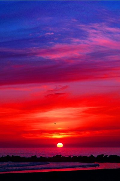 Пурпурный рассвет