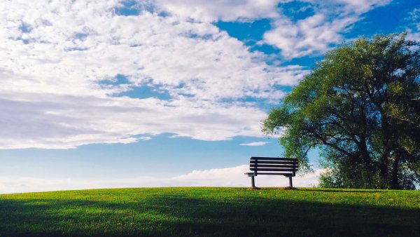 Красиыфк кроны деревьев