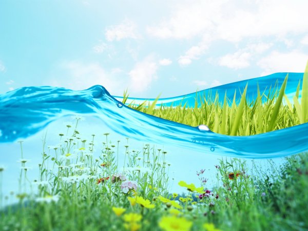 Природа лес