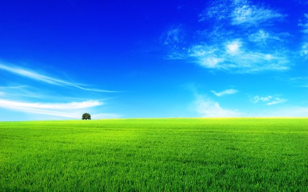 Природа небо и земля для детей