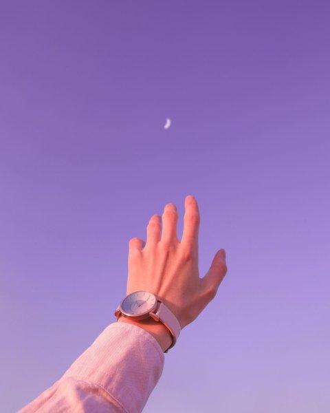 Тянется к звездам