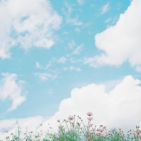 Небо нежно голубого цвета