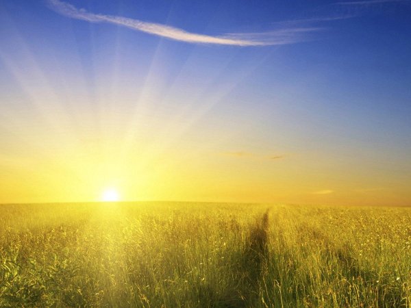 Солнце рассвет