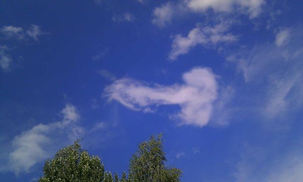 Метеорный поток Лириды 2022