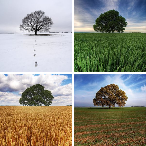 Пейзаж в Разное время года