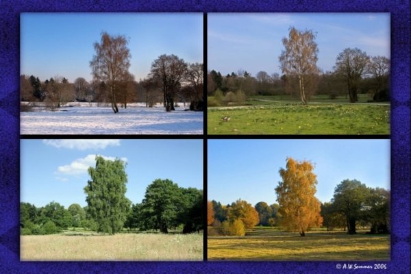 Изображение природы в разных состояниях