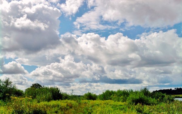 Весенний пейзаж