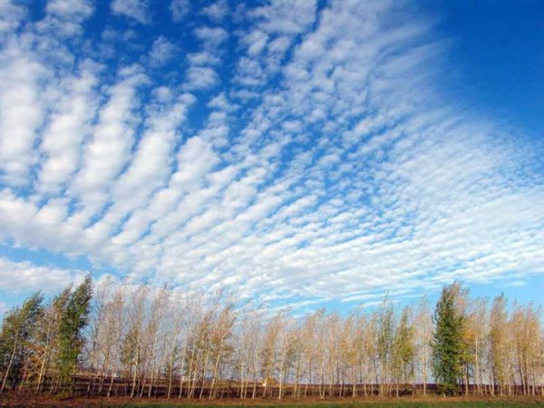 Море разного цвета