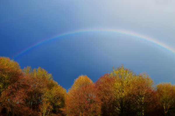 Облака Кучевые перистые Слоистые