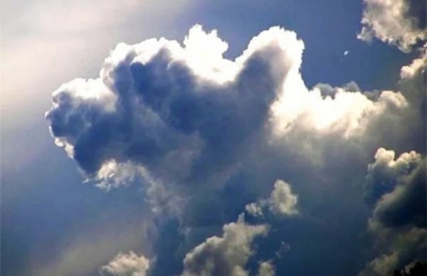 Облака собаки небо