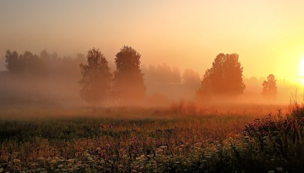 Красивые поздравления с добрым утром природа