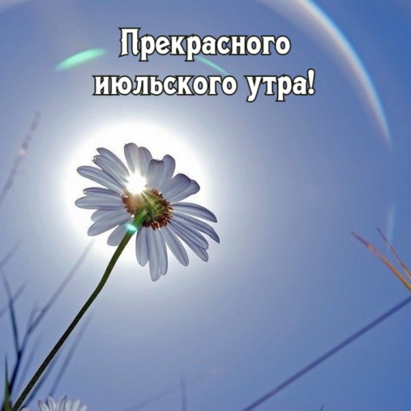 Мира и счастья вашему дому