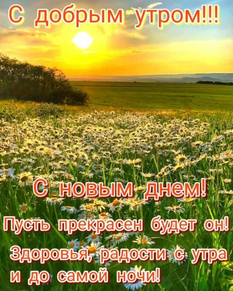 Умные поздравления с добрым утром