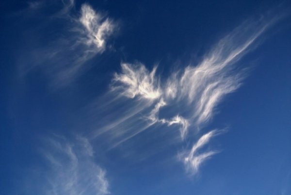 Ангел хранитель на небесах