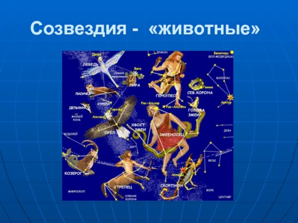 Карта созвездий для детей