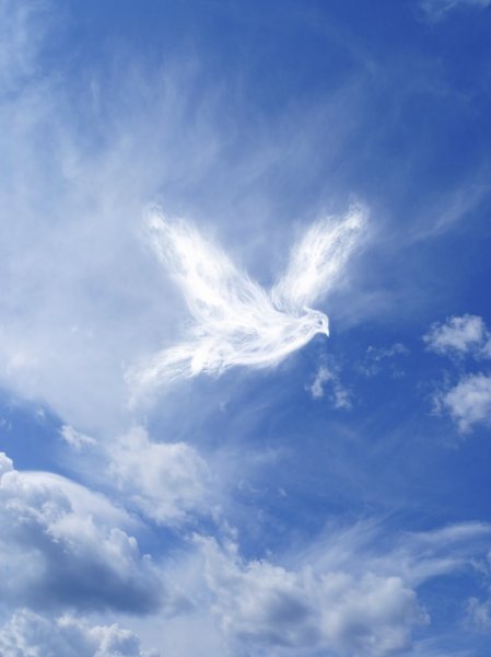 Небесные ангелы