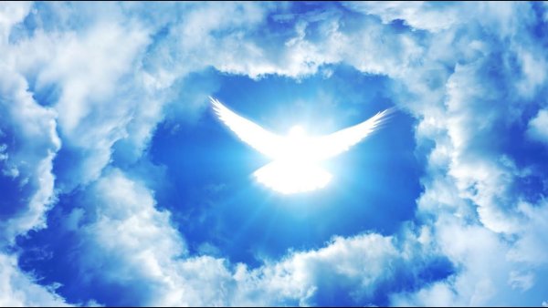 Ангел в небесах