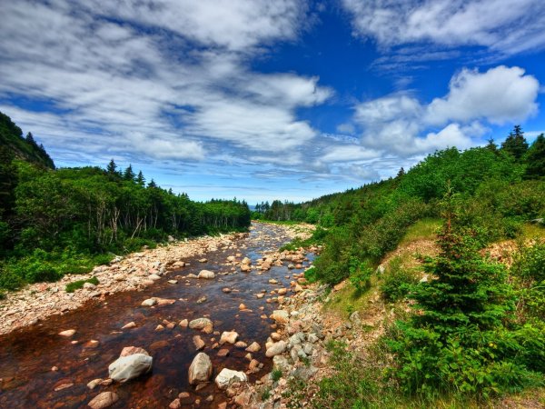 Каменистый берег Кама