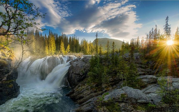 Природа лес река горы водопад