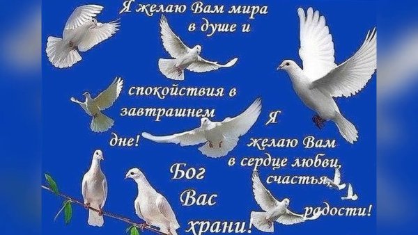 Пусть Бог хранит вас