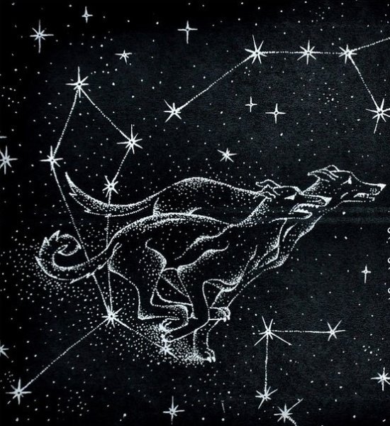 Созвездие гончие псы