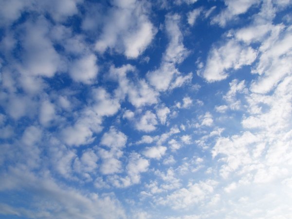 Небо с мелкими облаками