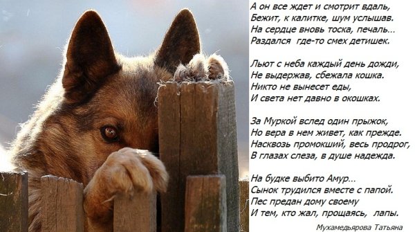 Осколки любви