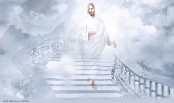 Боги спустились с небес