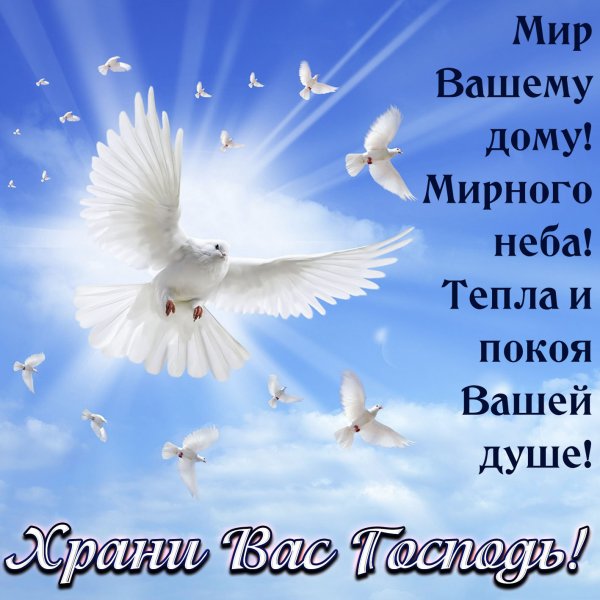 Душа в небе