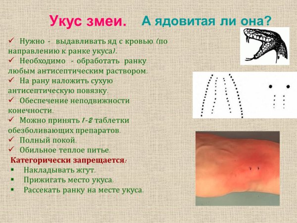 Язвенно некротический гингивит