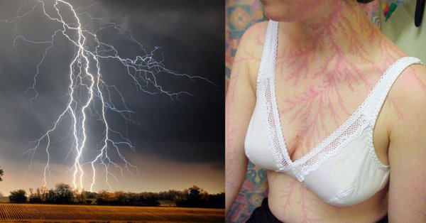 Ротовая полость с зубами и языком