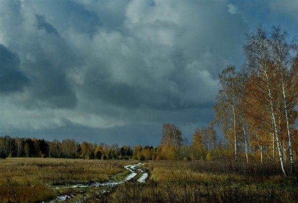 Пушкин уж небо осенью дышало иллюстрации