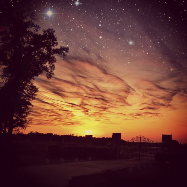 Ночная Эстетика