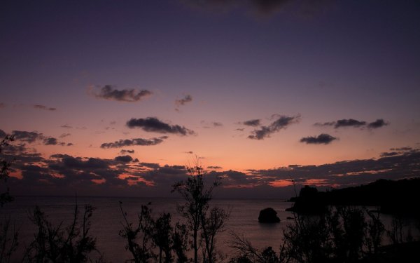 Темный рассвет