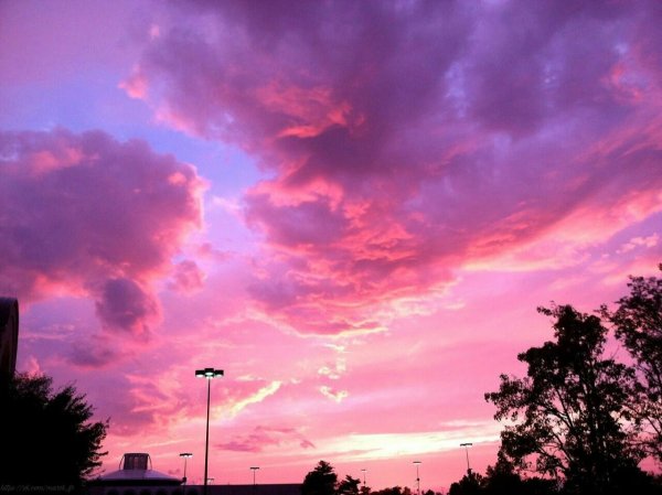 Розовый закат в городе