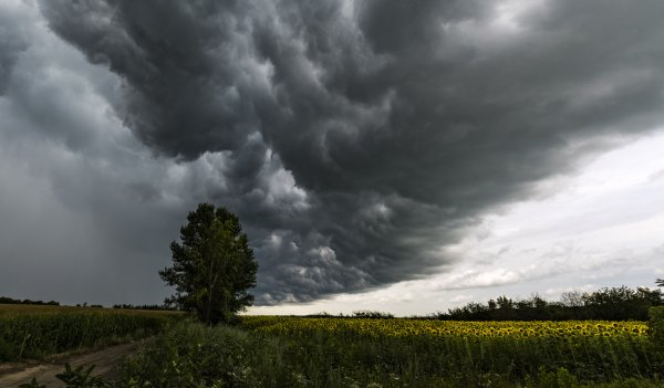 Тучи перед дождем