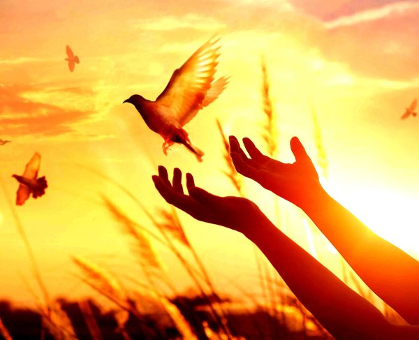 Девушка отпускает шарик