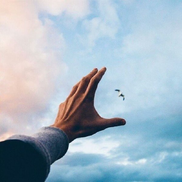 Девушка отпускает птицу