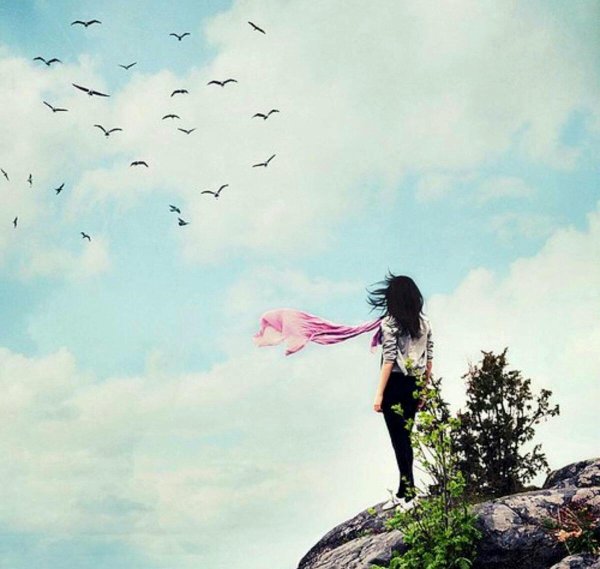 Птица свободы