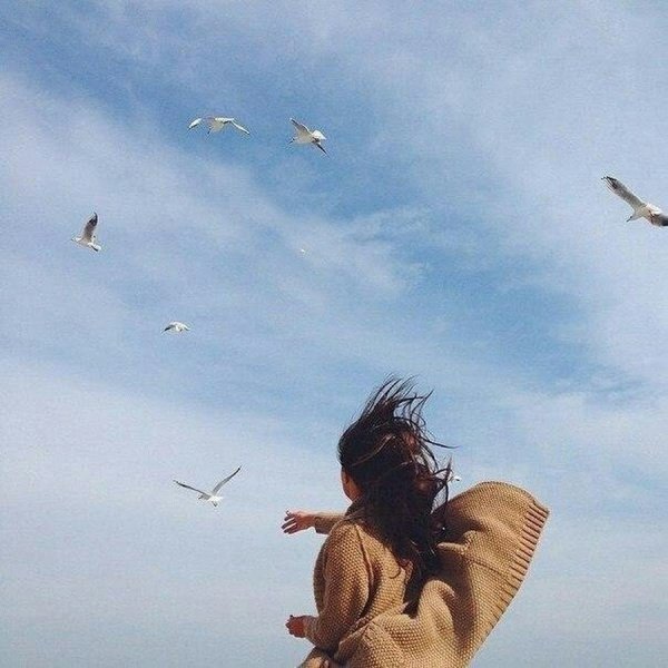 Отпустить птицу