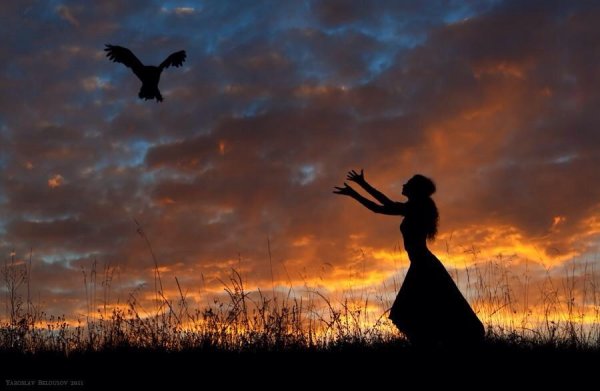 Отпустить птицу