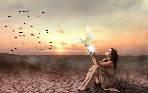 Птицы в небе и человек