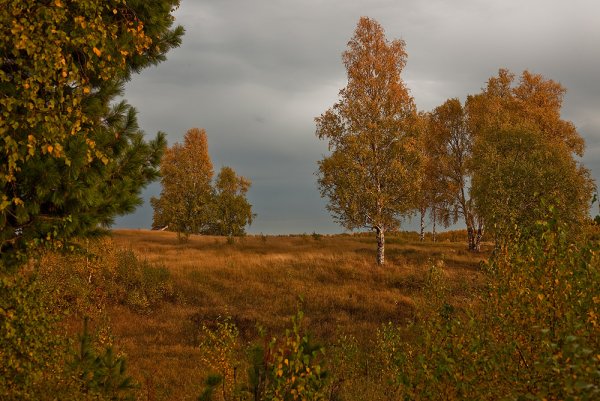 Уж небо осенью дышало