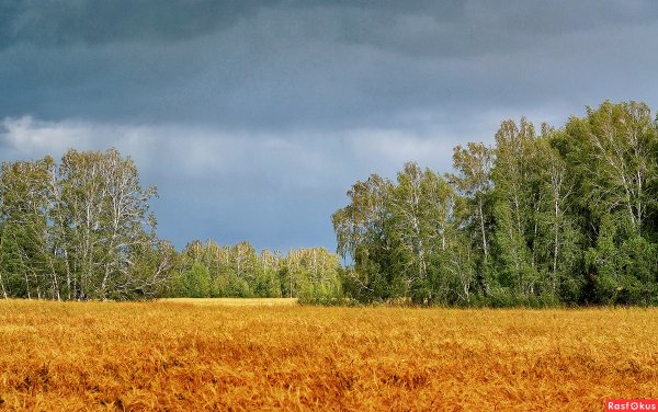 Уж лето осенью дышало