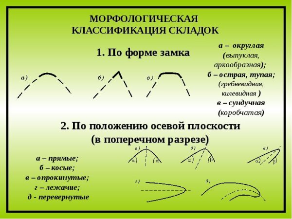 Миндалины ротовой полости анатомия