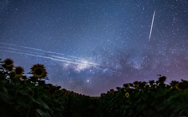 Спутники Старлинк